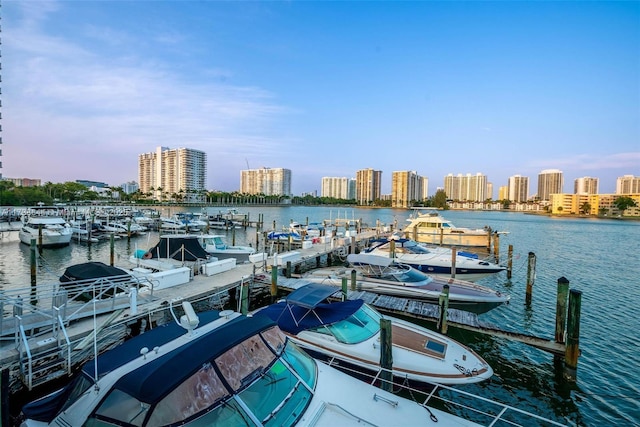 dock area with a water view