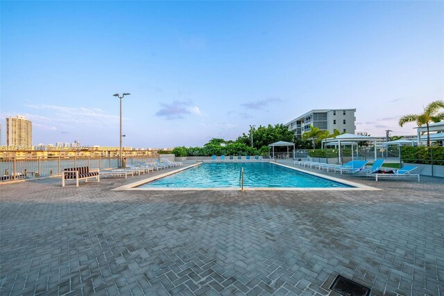 view of pool with a patio area