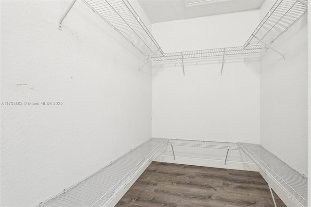 spacious closet featuring dark hardwood / wood-style floors