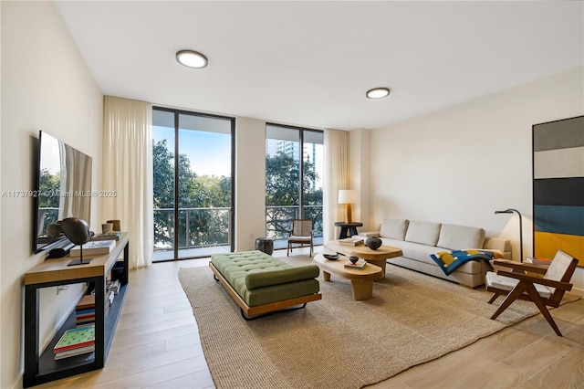 living room featuring light hardwood / wood-style floors and expansive windows