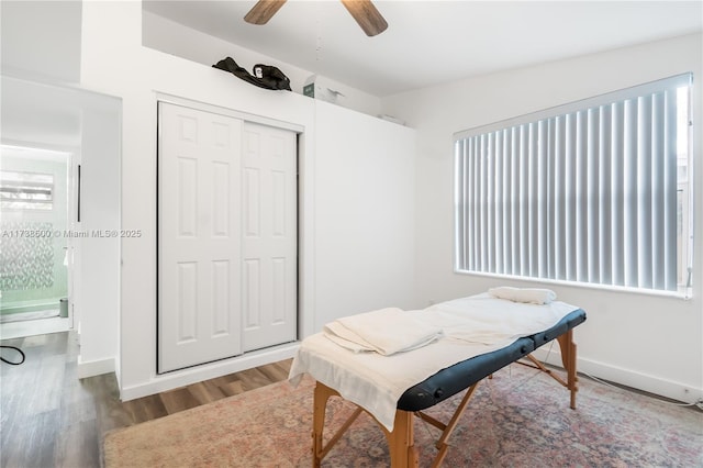 office with ceiling fan, a healthy amount of sunlight, and wood-type flooring