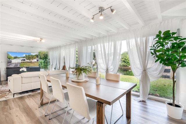 sunroom featuring track lighting and beam ceiling