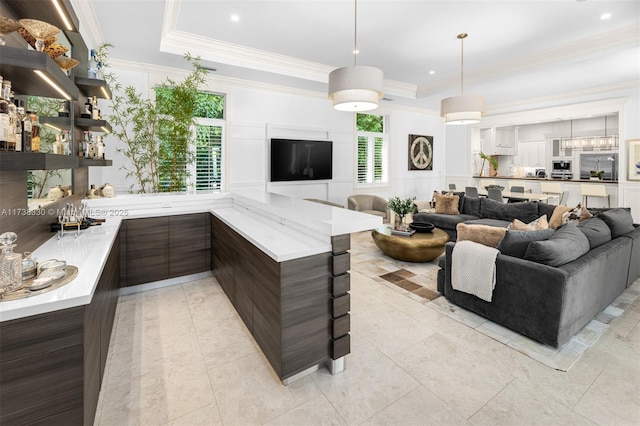 living room featuring ornamental molding and a raised ceiling