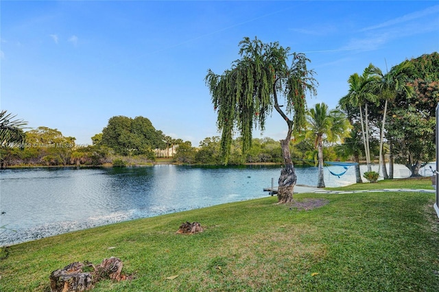 view of water feature