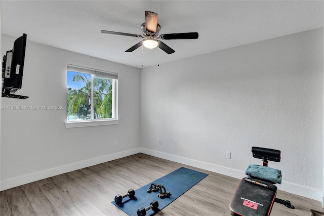 exercise room with hardwood / wood-style floors and ceiling fan