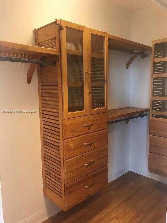 walk in closet featuring dark hardwood / wood-style flooring