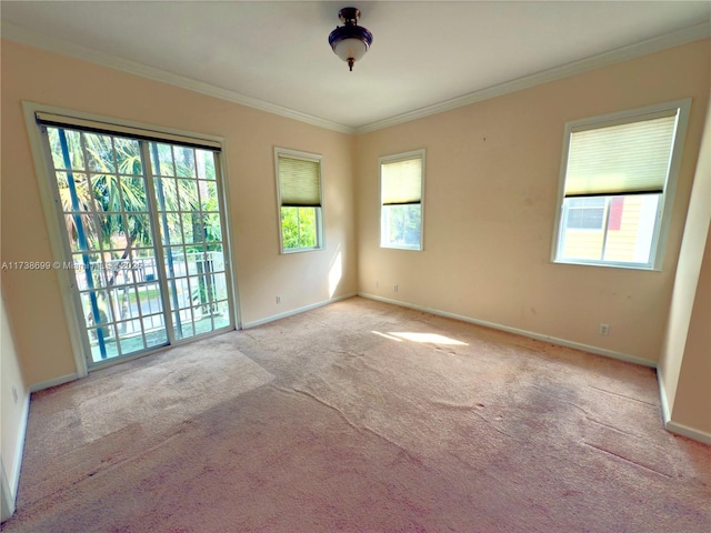 empty room with baseboards, carpet floors, and crown molding