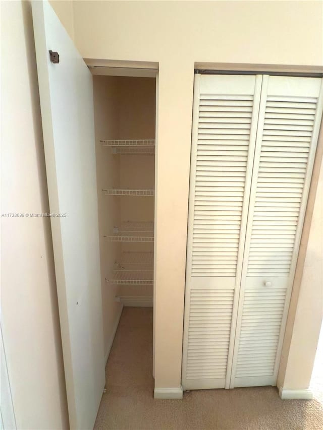 view of closet