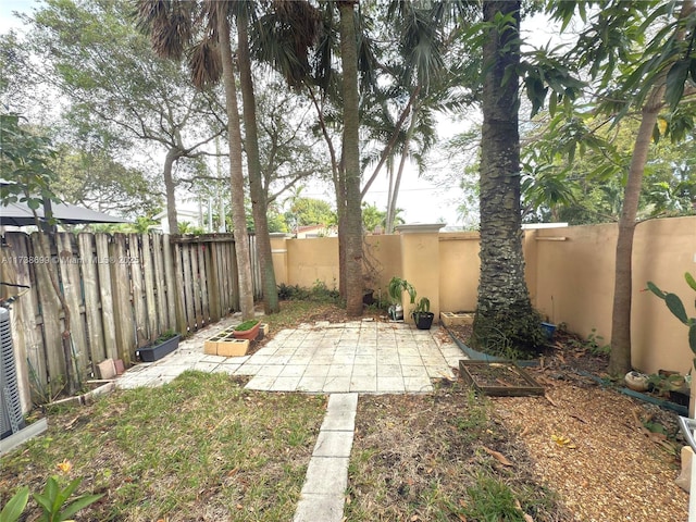 view of yard featuring a patio and a fenced backyard