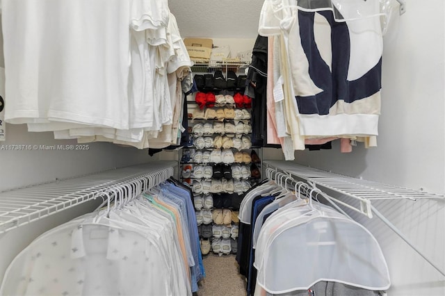 spacious closet with carpet flooring