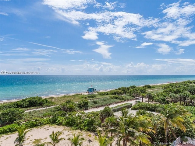 property view of water featuring a beach view