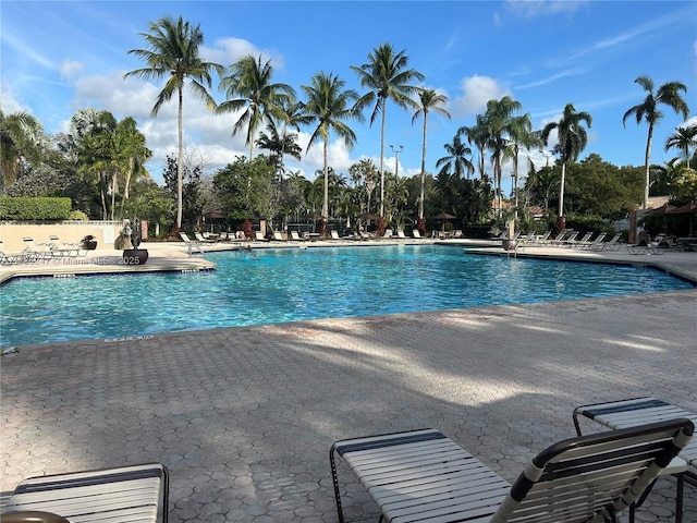 view of swimming pool with a patio area