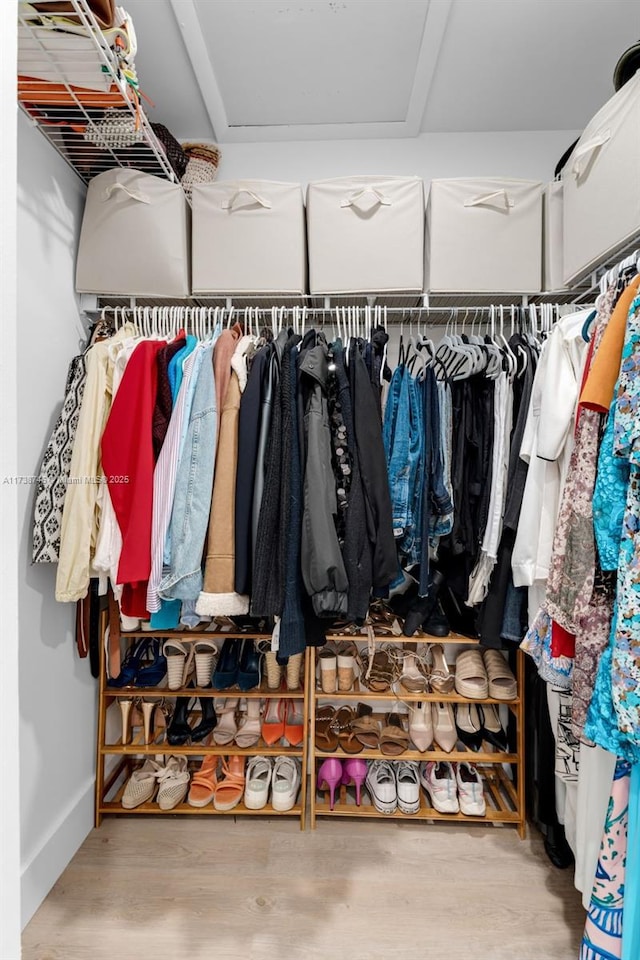 walk in closet with wood-type flooring