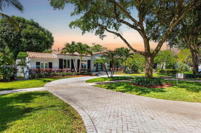 339 NE 100th St, Miami Shores, FL 33138 - view of front of house with curved driveway, a yard, a tile roof, and stucco siding