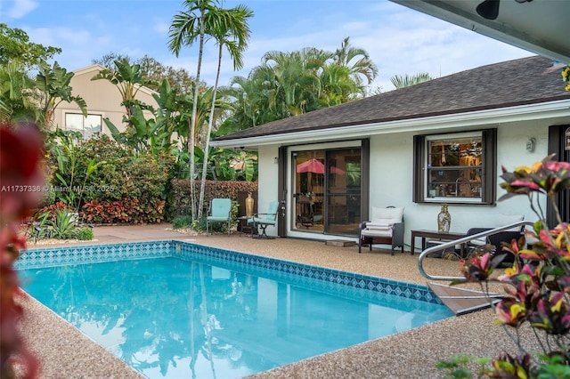 view of pool featuring a patio area and ceiling fan