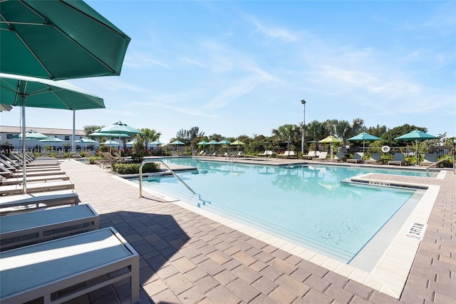 view of swimming pool featuring a patio area