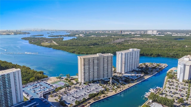 aerial view with a water view