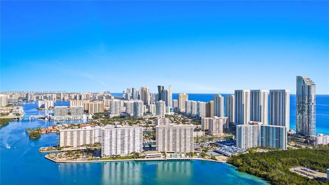 aerial view with a water view