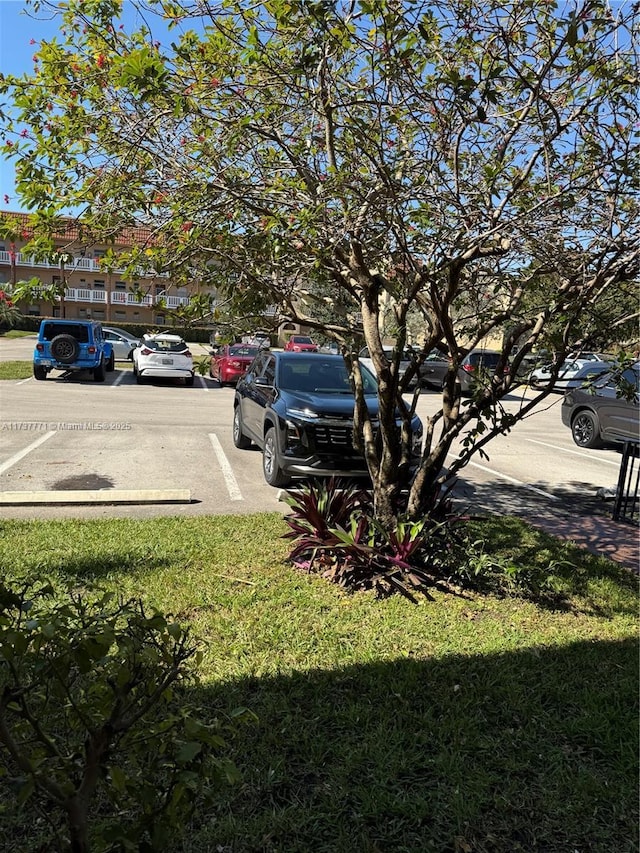 view of vehicle parking with a lawn