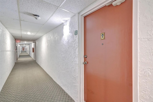 hallway with carpet and a paneled ceiling