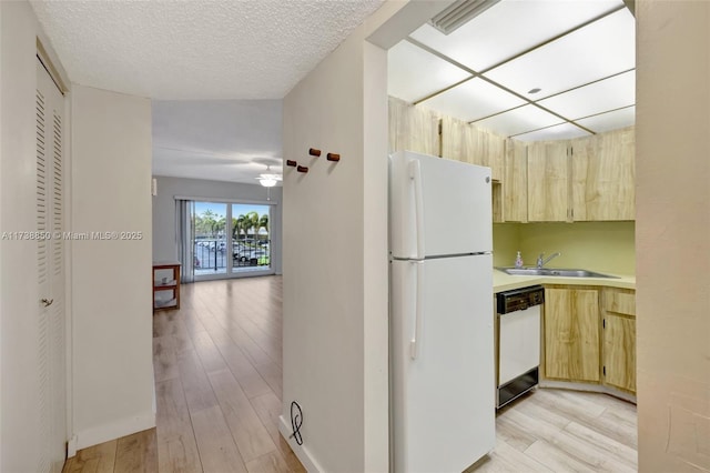 kitchen with sink, light wood-type flooring, light brown cabinets, and white appliances