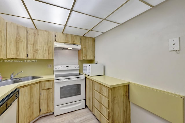 kitchen with sink, white appliances, a paneled ceiling, light brown cabinets, and light wood-type flooring