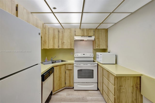 kitchen featuring light brown cabinetry, sink, white appliances, and light hardwood / wood-style floors