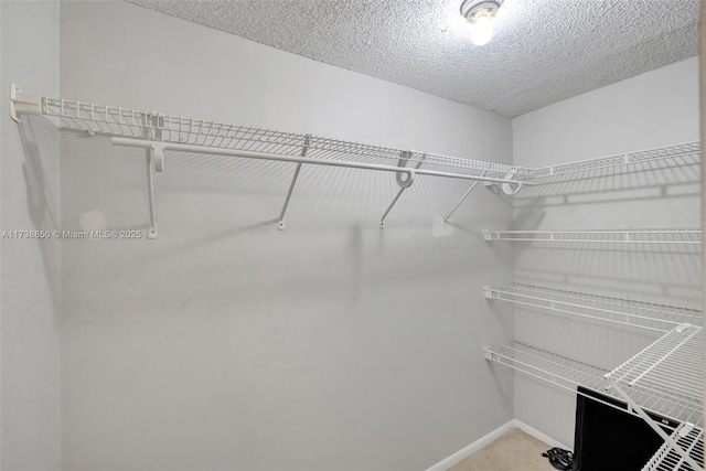 view of walk in closet