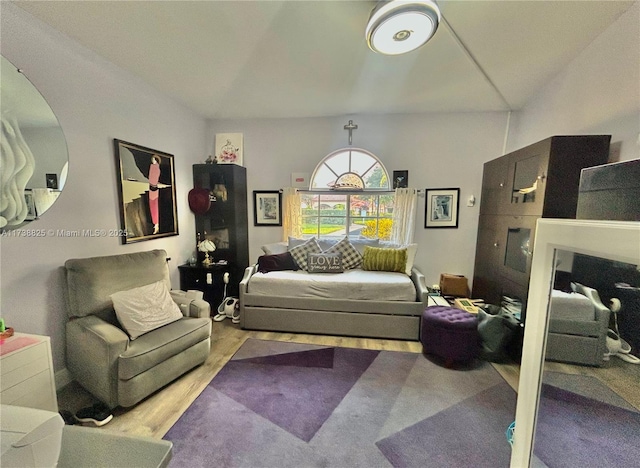 living room with hardwood / wood-style flooring