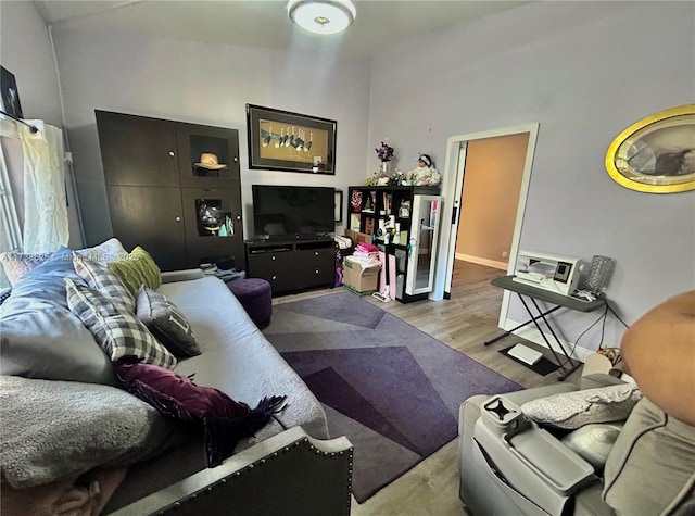 living room with light hardwood / wood-style flooring