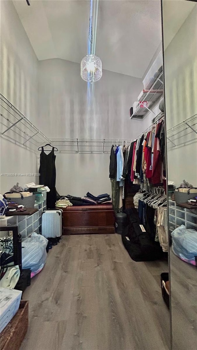 spacious closet featuring vaulted ceiling and hardwood / wood-style floors