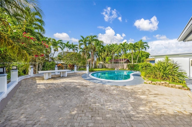 view of pool featuring a patio