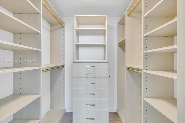 view of walk in closet