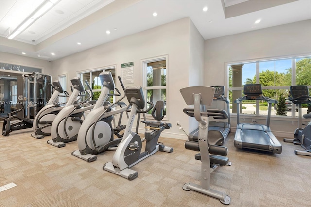 gym featuring plenty of natural light and light colored carpet