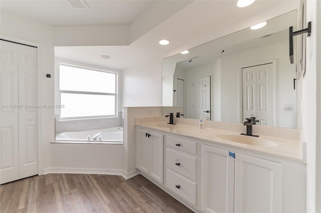 bathroom with double vanity, wood finished floors, a closet, and a sink