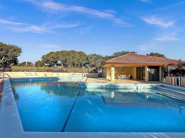 view of pool featuring a patio and ceiling fan