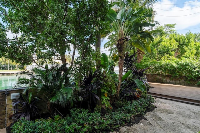 view of yard featuring a deck