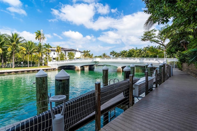 dock area with a water view