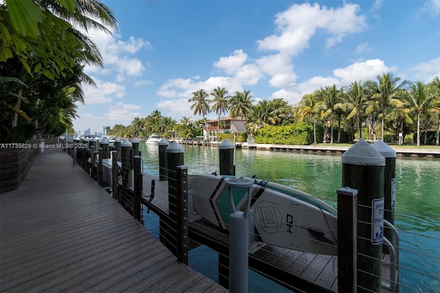 dock area with a water view