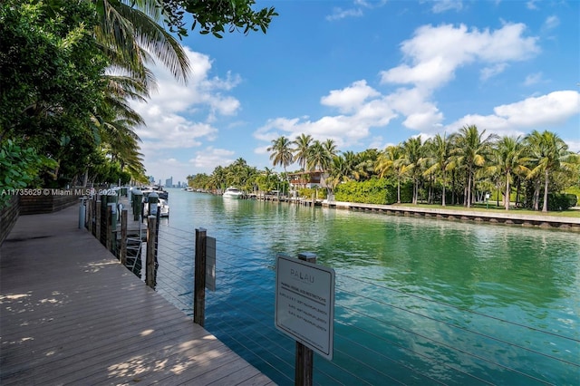 dock area with a water view