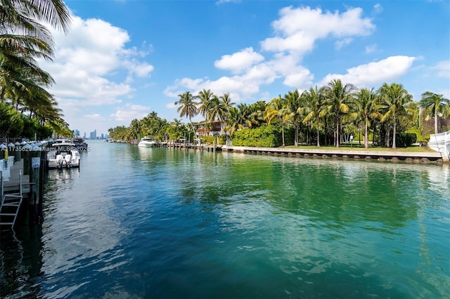 property view of water with a boat dock