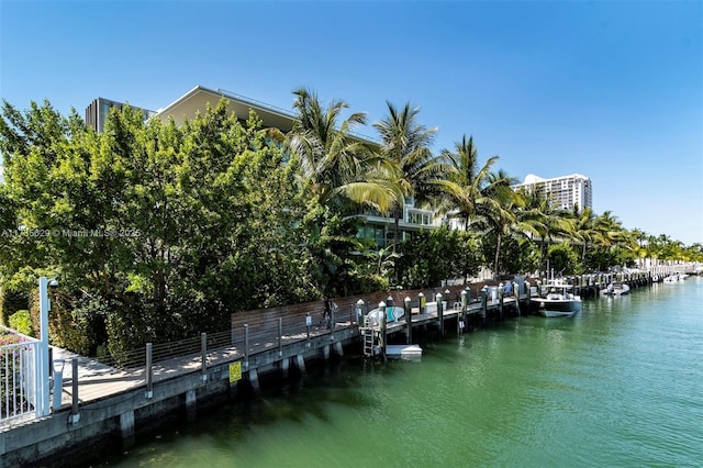 dock area with a water view