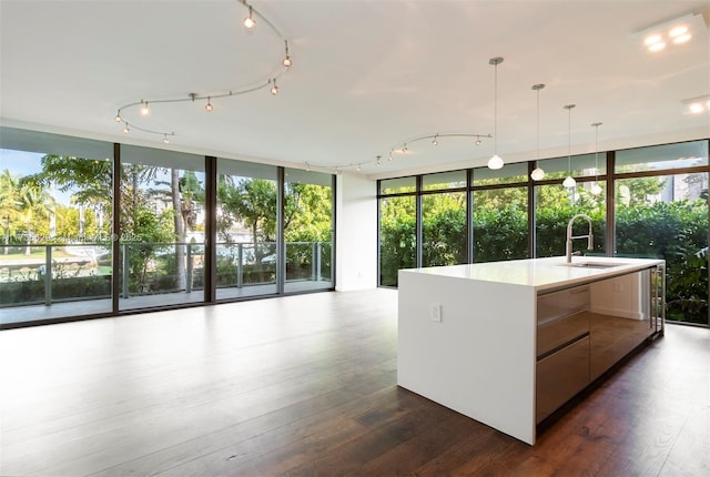 kitchen with dark wood-type flooring, floor to ceiling windows, sink, pendant lighting, and a kitchen island with sink