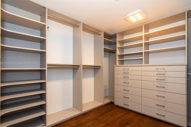 walk in closet with dark hardwood / wood-style floors