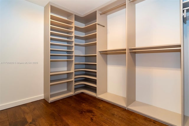 spacious closet with dark wood-type flooring