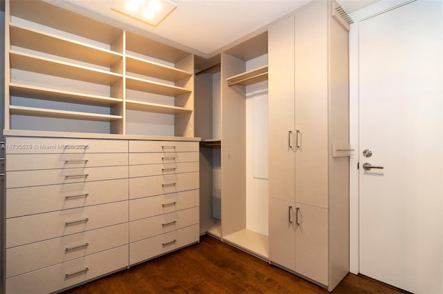 spacious closet with dark wood-type flooring