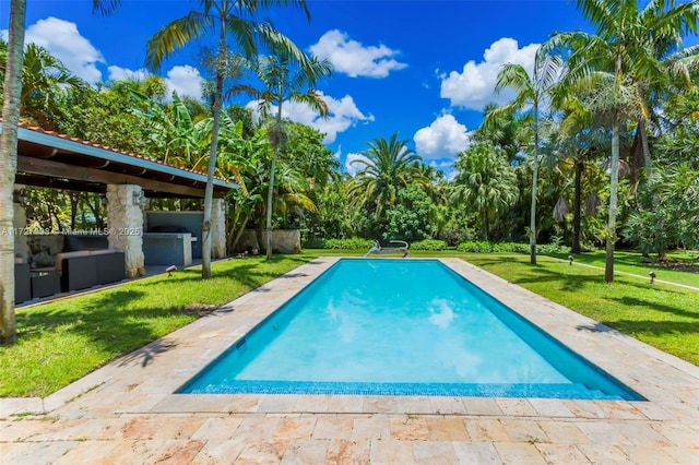 outdoor pool featuring a patio, a lawn, and an outdoor kitchen