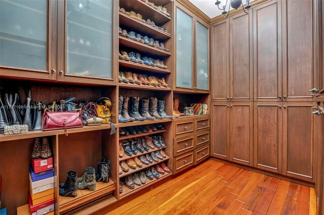 spacious closet with light hardwood / wood-style floors