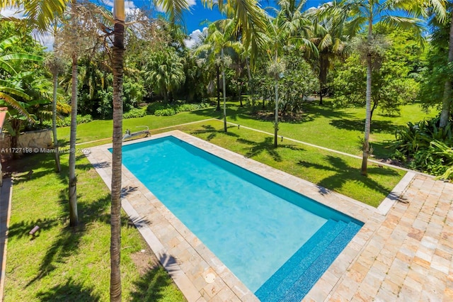 view of swimming pool featuring a yard and a patio area