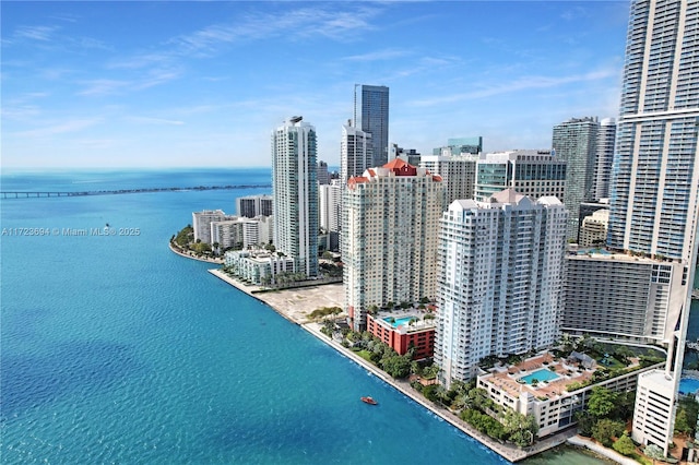 bird's eye view with a water view